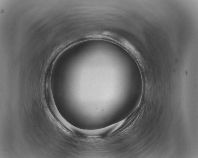 X0000086301384200703301150