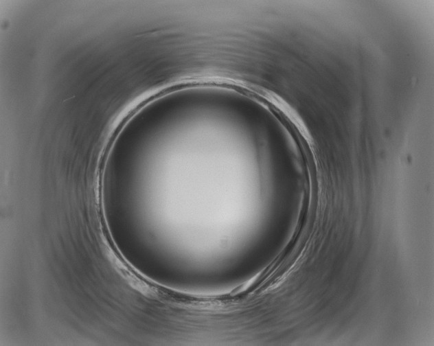 X0000086301388200703301150