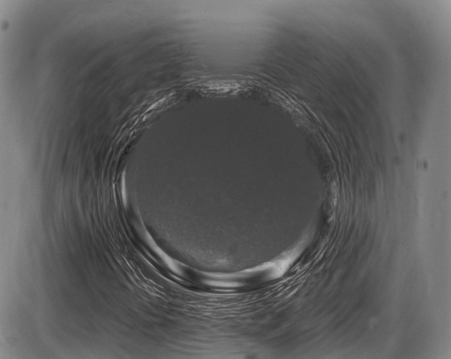 X0000086301394200703301149