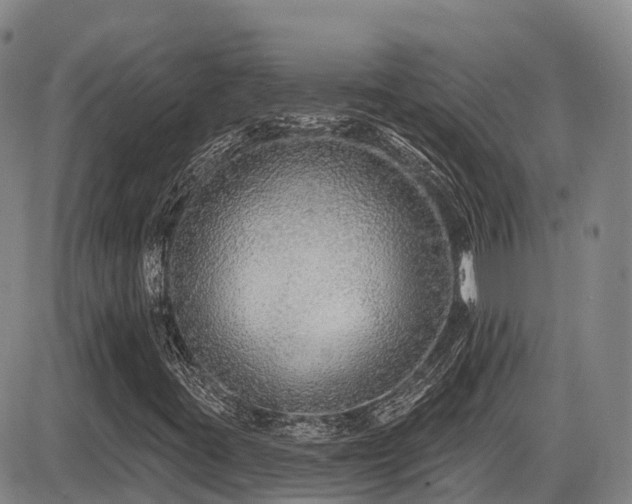 X0000086301395200703301150