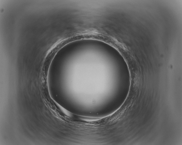 X0000086301400200703301150