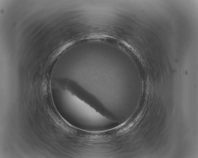 X0000086301401200703301150
