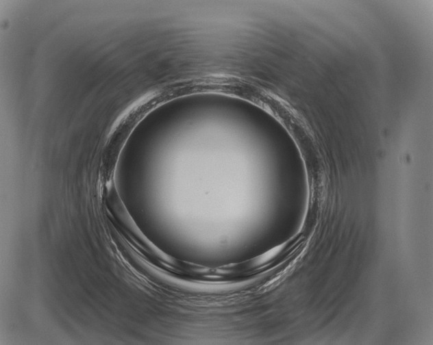X0000086301402200703301150