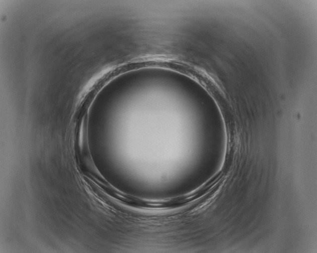 X0000086301406200703301150