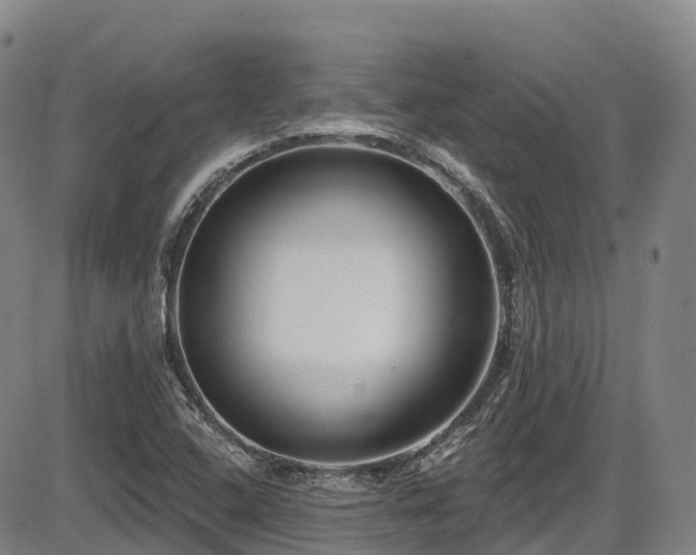 X0000086301408200703301150