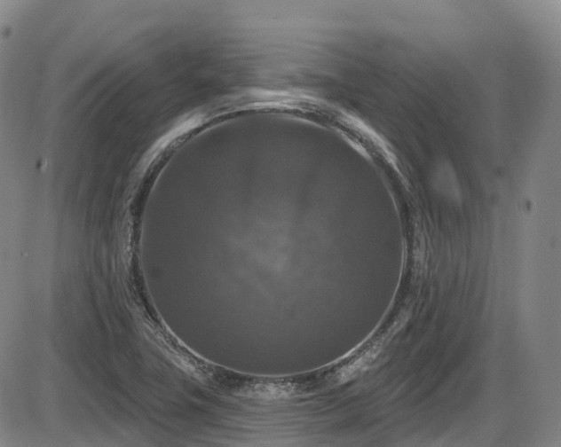 X0000086301411200703301150