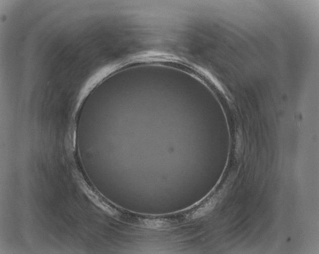 X0000086301413200703301150