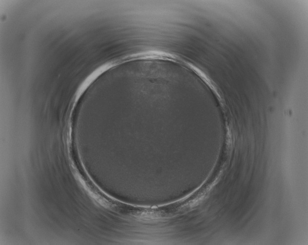 X0000086301418200703301150
