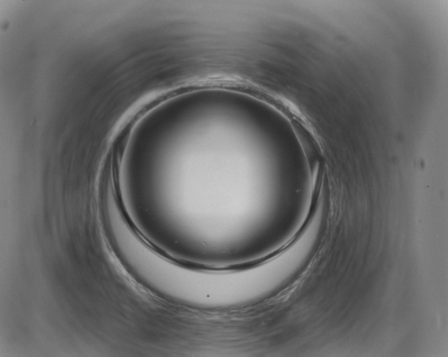 X0000086301422200703301150