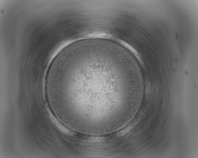 X0000086301423200703301150