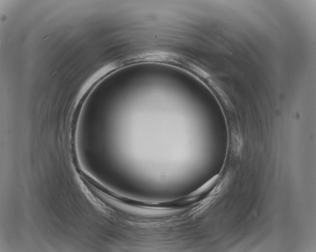 X0000086301426200703301150