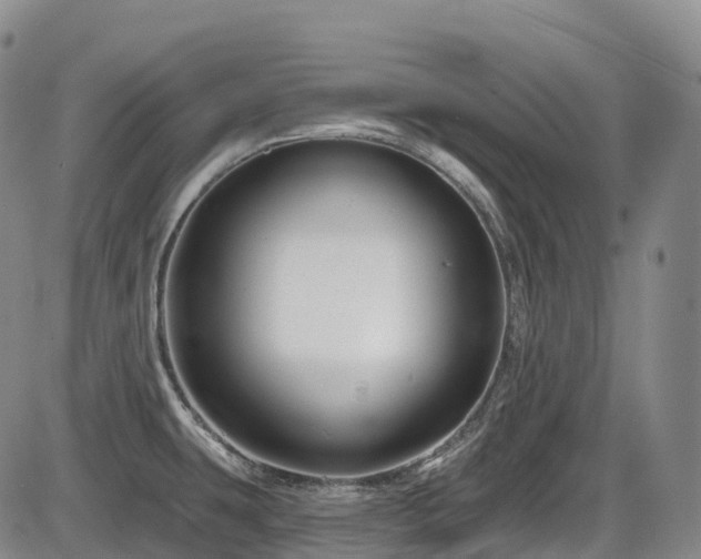 X0000086301431200703301150