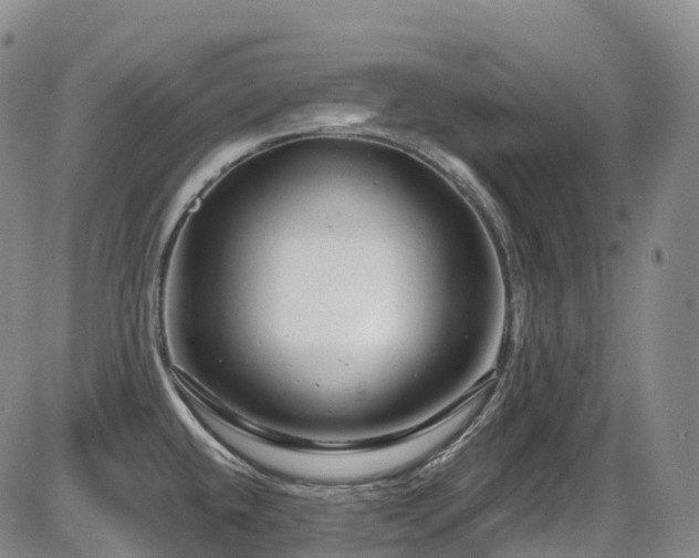 X0000086301432200703301150