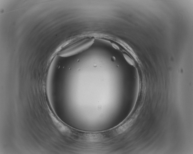 X0000086301433200703301150