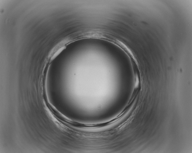X0000086301434200703301150