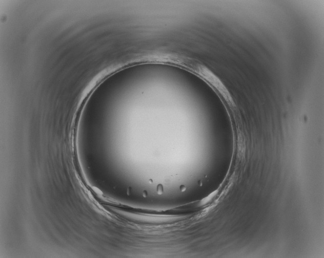 X0000086301436200703301150