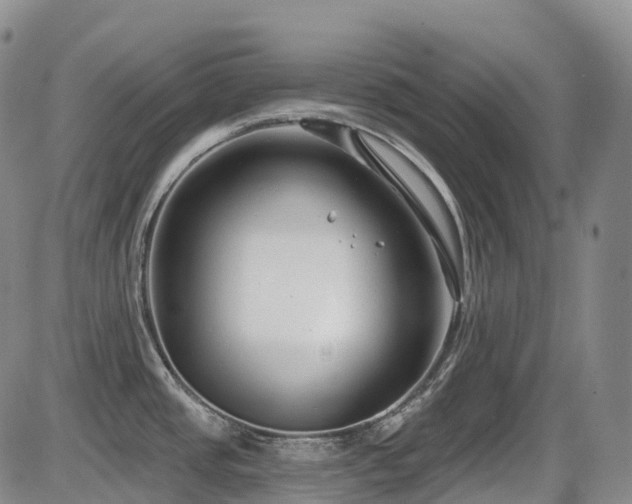 X0000086301437200703301150