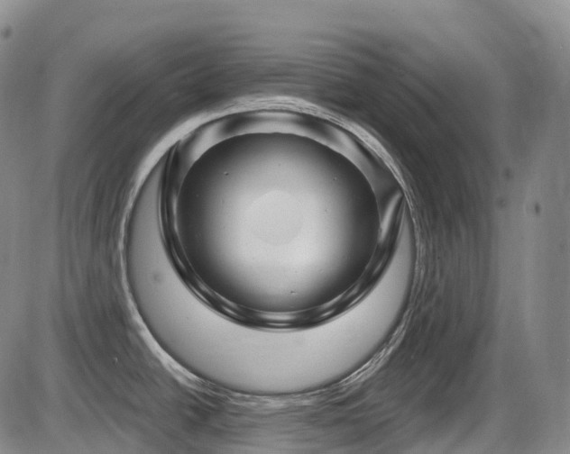 X0000086301438200703301150