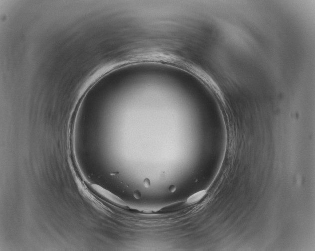 X0000086301439200703301150
