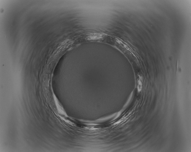X0000086301441200703301149