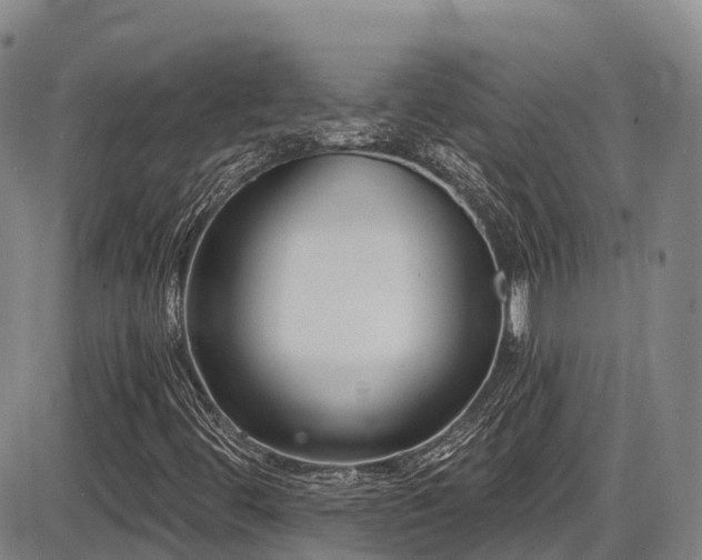 X0000086301444200703301149