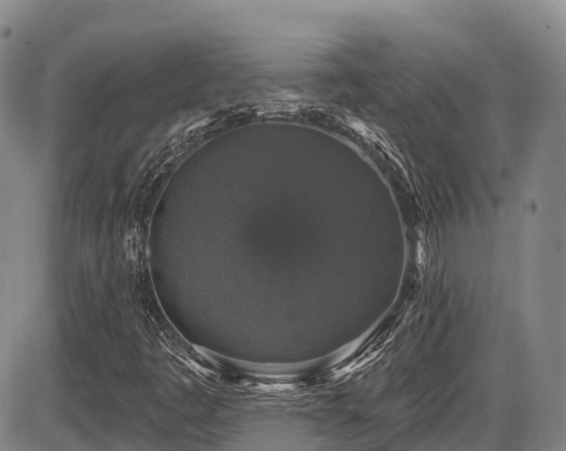 X0000086301445200703301149