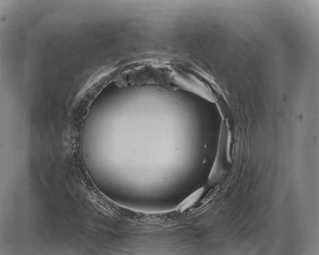 X0000086301448200703301149