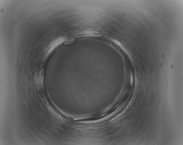 X0000086301450200703301149
