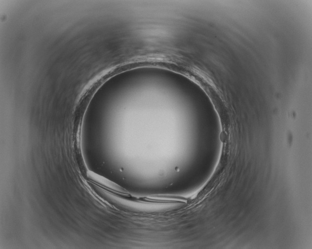 X0000086301452200703301149