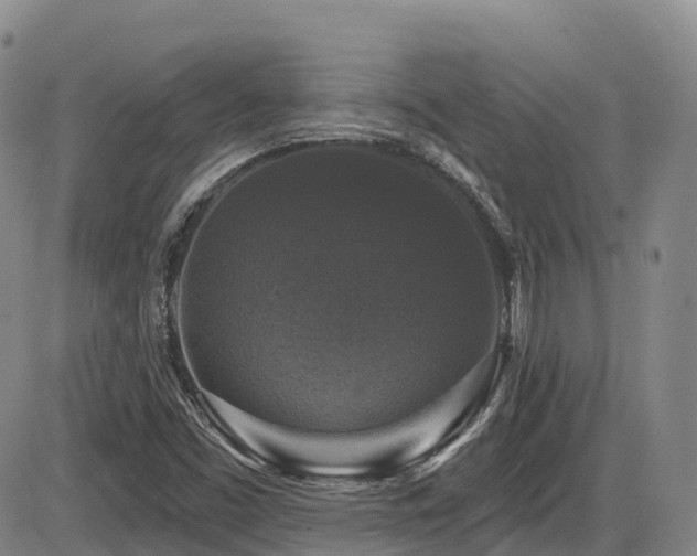 X0000086301453200703301149
