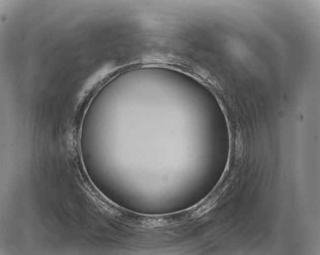 X0000086301454200703301149