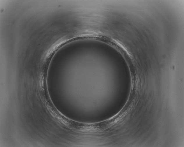 X0000086301455200703301149