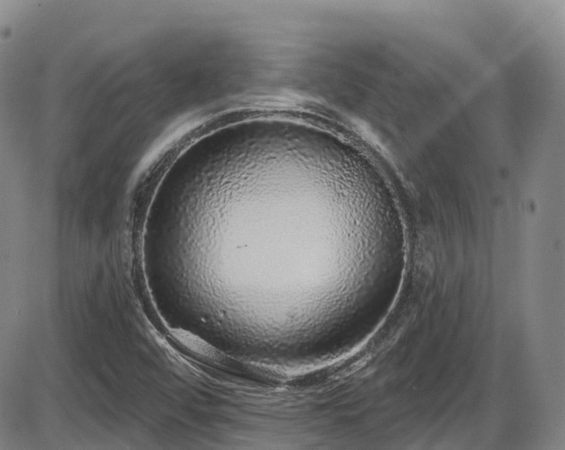 X0000086301456200703301149