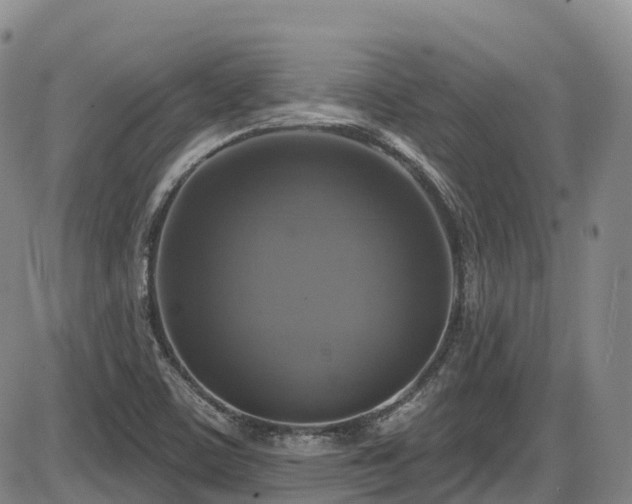 X0000086301459200703301149