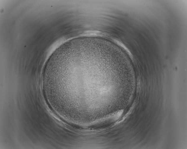 X0000086301467200703301149