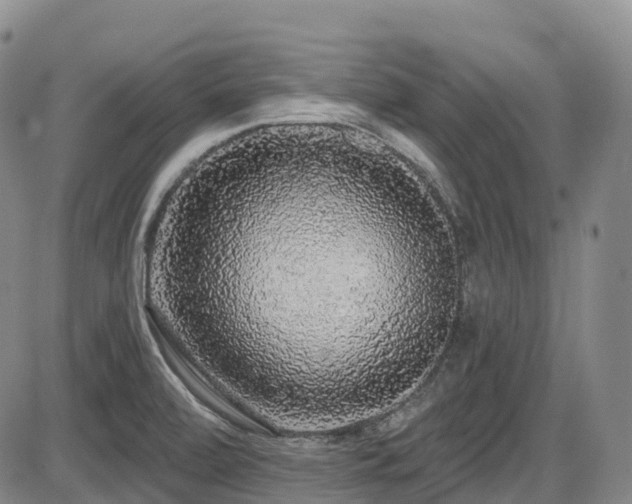 X0000086301472200703301149