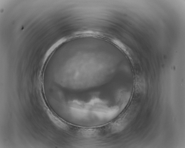 X0000086301474200703301149