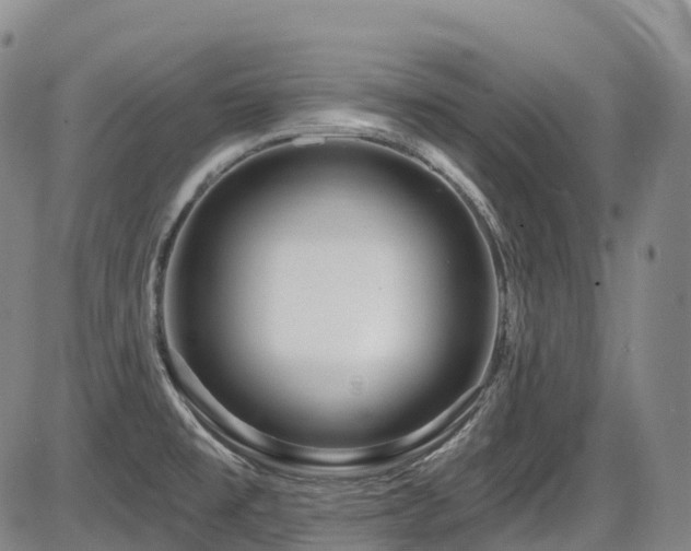 X0000086301477200703301149