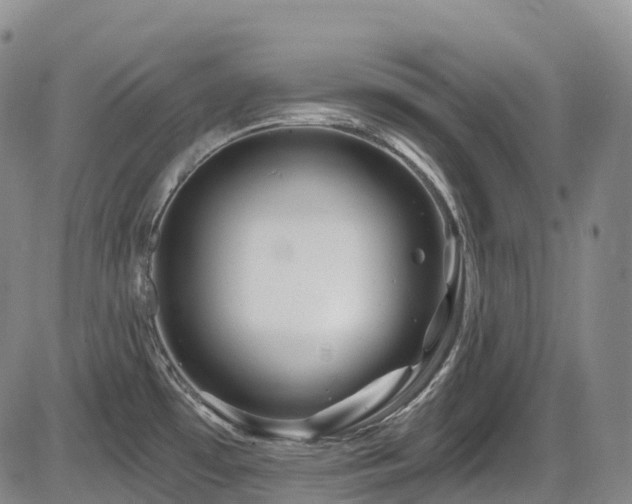 X0000086301481200703301149