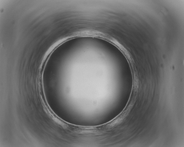 X0000086301486200703301149