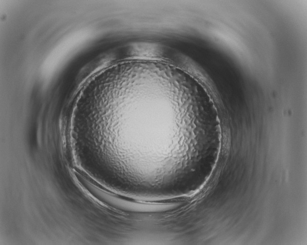 X0000086301487200703301149