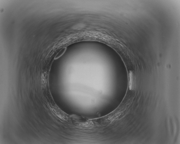 X0000086301491200703301148