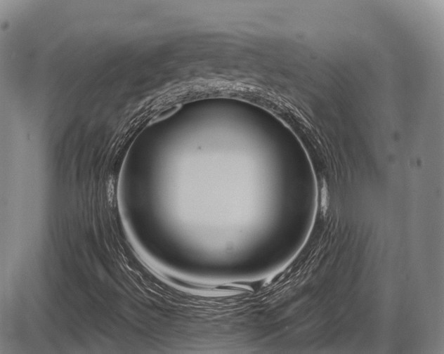 X0000086301492200703301148