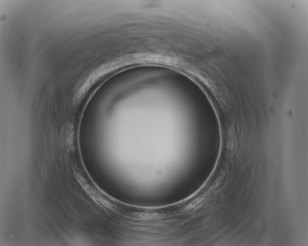 X0000086301499200703301148