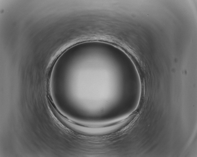 X0000086301500200703301148