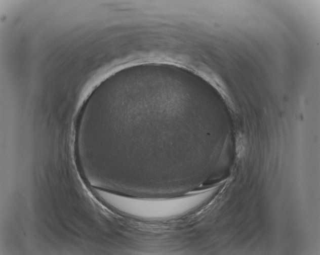 X0000086301508200703301148