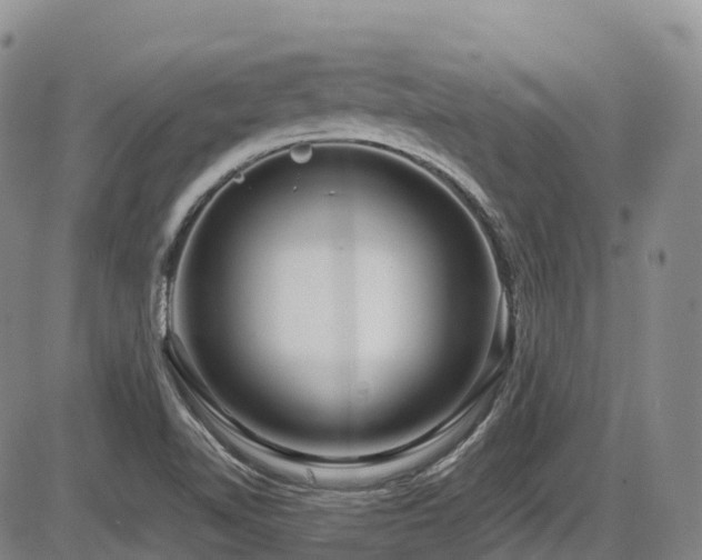 X0000086301510200703301148