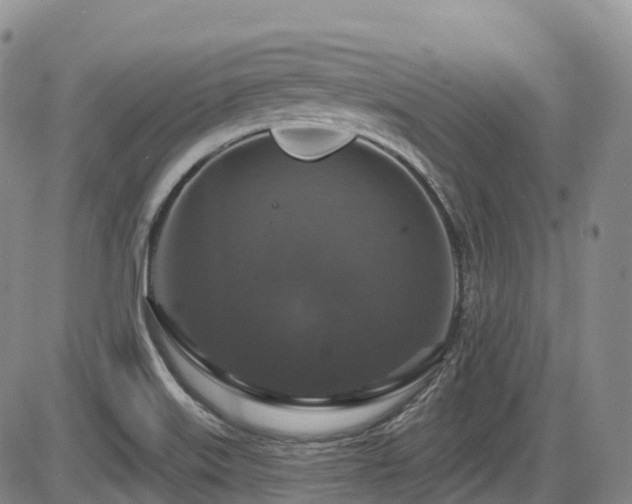 X0000086301515200703301148
