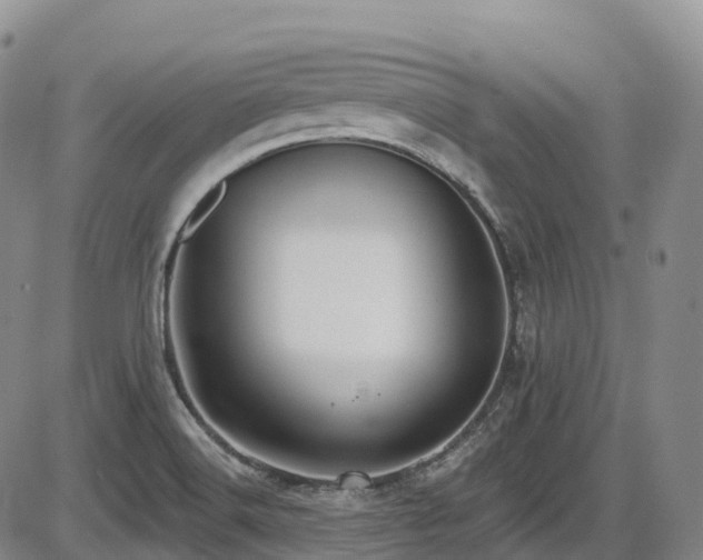X0000086301516200703301148