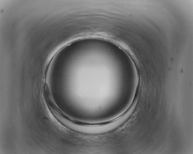X0000086301524200703301148